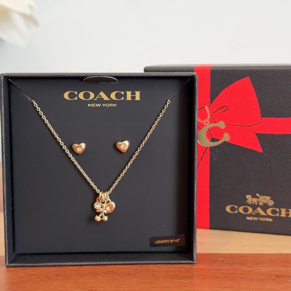 NWT Coach Cherry And Heart Earrings And Necklace‎ Set